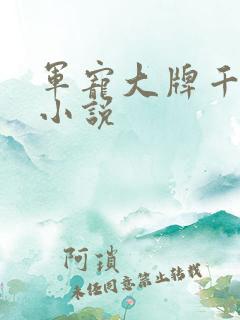 军宠大牌千金 小说