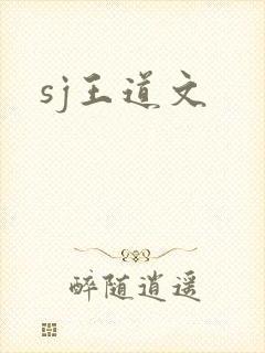 sj王道文