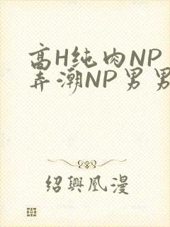 高H纯肉NP 弄潮NP男男