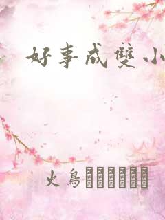 好事成双小说