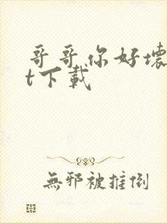 哥哥你好坏txt下载