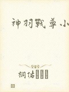 神羽战尊小说