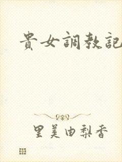 贵女调教记