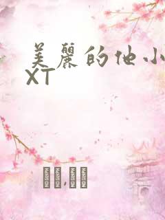 美丽的他小说TXT