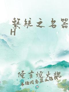 系统之名器勾男H