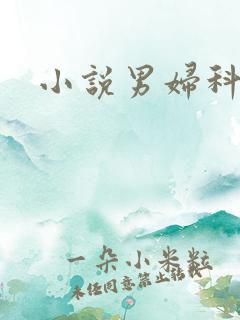 小说男妇科医生