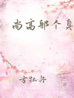 尚高那个臭小子