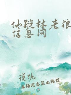 仙踪林老狼贰佰信息网