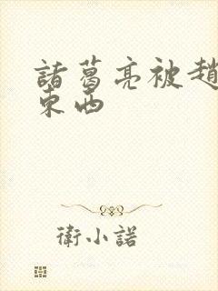 诸葛亮被赵云塞东西