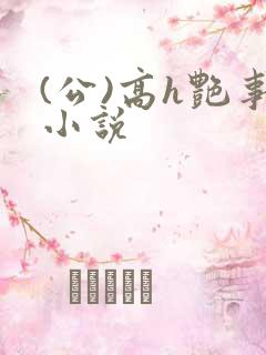 (公)高h艳事小说