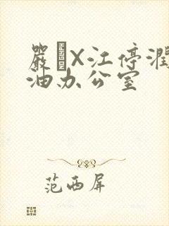 严峫X江停润滑油办公室