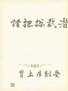 错把总裁潜规则