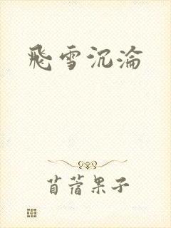 飞雪沉沦