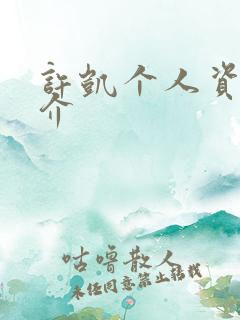 许凯个人资料简介