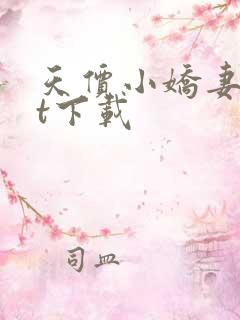 天价小娇妻txt下载