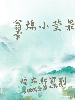 翁熄小莹最新节章