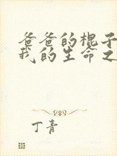 爸爸的棍子顶着我的生命之门