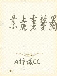 爱上电竞男神林小鹿免费阅读