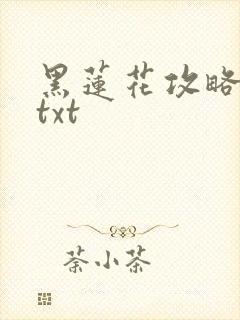 黑莲花攻略手册txt
