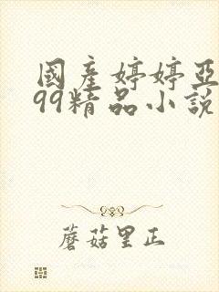 国产婷婷亚洲999精品小说