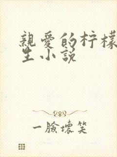 亲爱的柠檬精先生小说