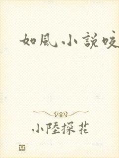 如风小说咬春饼