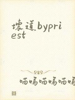 坏道bypriest
