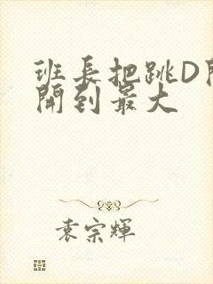 班长把跳D开关开到最大