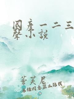 国产一二三区有声小说