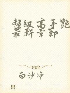 超级高手艳遇记最新章节