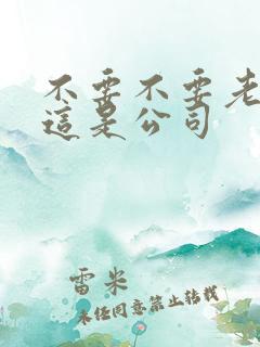 不要不要老板别这是公司