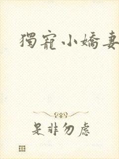 独宠小娇妻