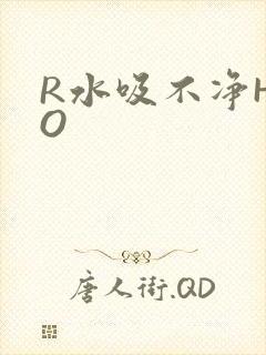 R水吸不净HPO