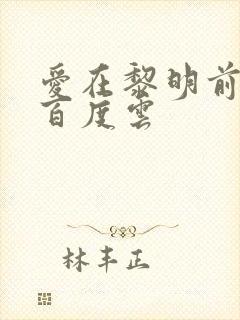 爱在黎明前降落百度云