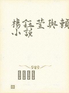 杨钰莹与赖昌星小说