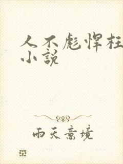 人不彪悍枉少年小说