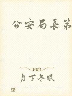 公安局长第四部