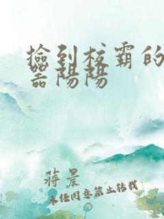 捡到校霸的遥控器阳阳