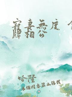 宠妻无度  金牌相公