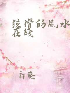 狡猾的风水相师在线