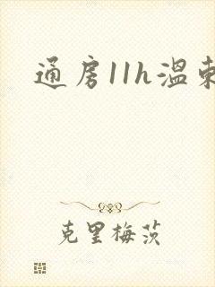 通房11h温东