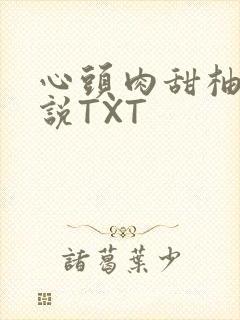 心头肉甜柚子小说TXT