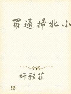 罗通扫北小说