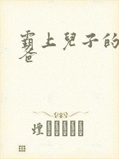 霸上儿子的总裁爸