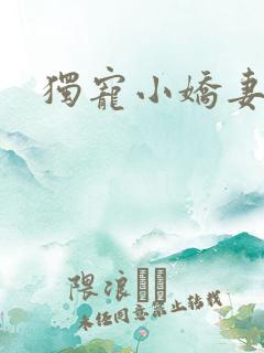 独宠小娇妻