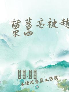 诸葛亮被赵云塞东西