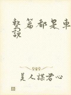 整篇都是车的小说