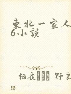 东北一家人1一6小说