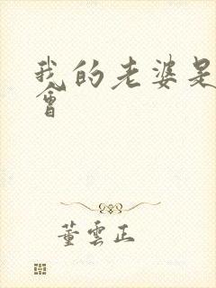 我的老婆是黑社会