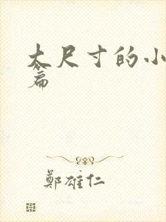 大尺寸的小说短篇